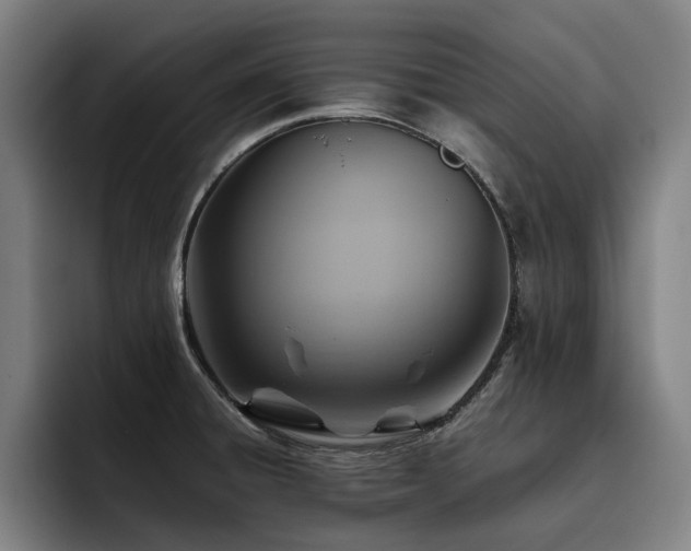 X0000093511428200710121523