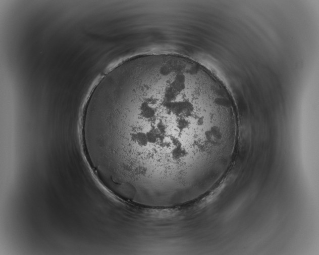X0000093511429200710121523