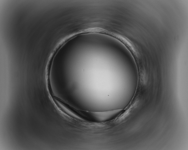 X0000093511430200710121523