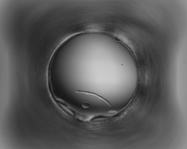 X0000093511431200710121523