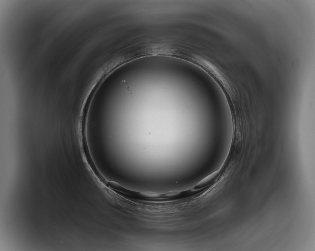 X0000093511434200710121523