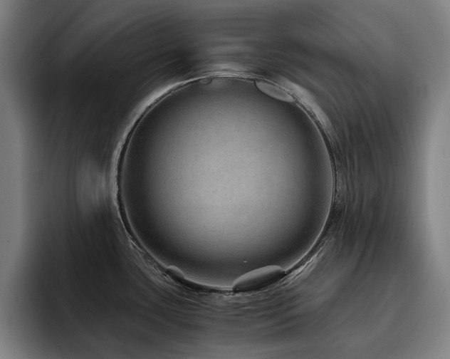X0000093511435200710121523