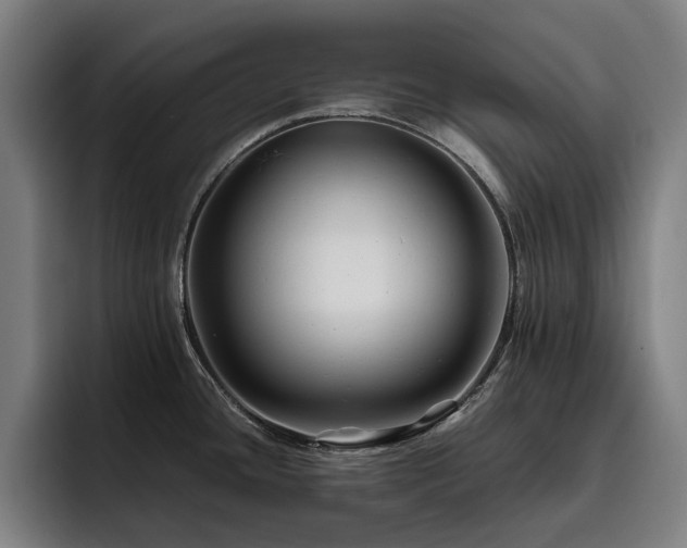 X0000093511436200710121523