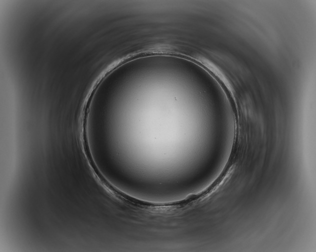 X0000093511437200710121523