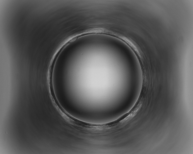 X0000093511438200710121523