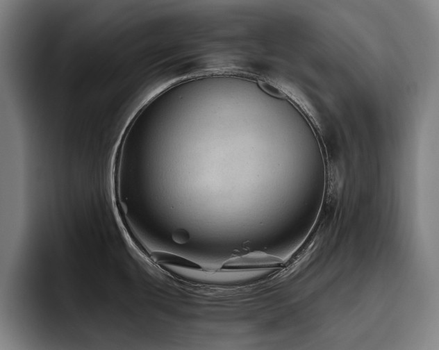 X0000093511439200710121523