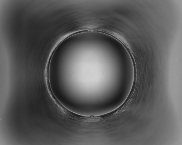 X0000093511440200710121523