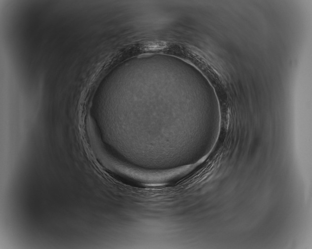 X0000093511441200710121523