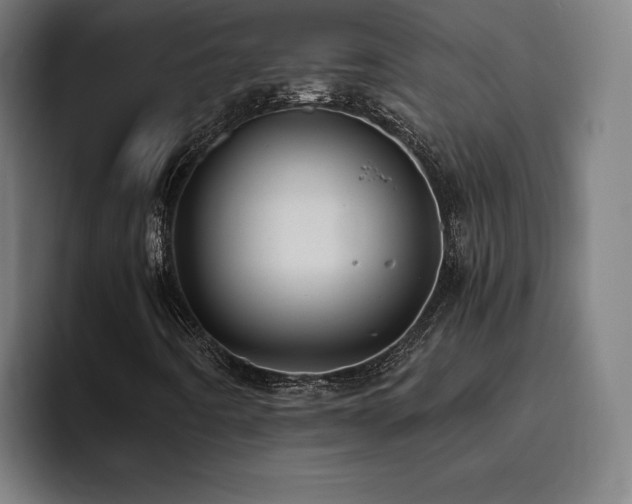 X0000093511442200710121523