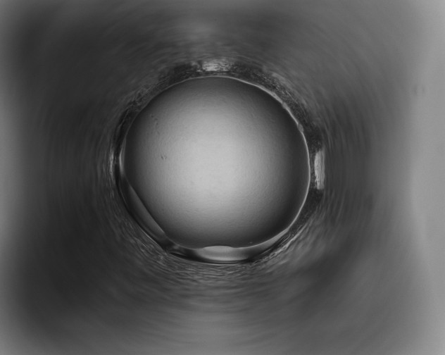 X0000093511443200710121523