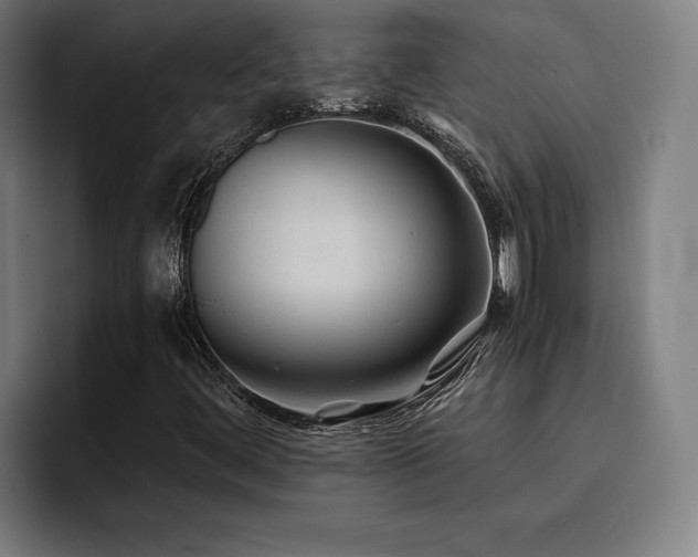 X0000093511444200710121523