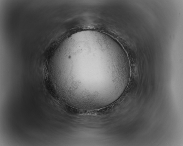 X0000093511446200710121523