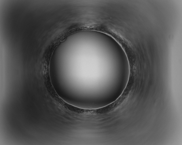 X0000093511447200710121523