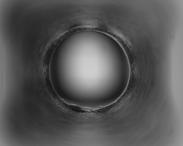 X0000093511448200710121523