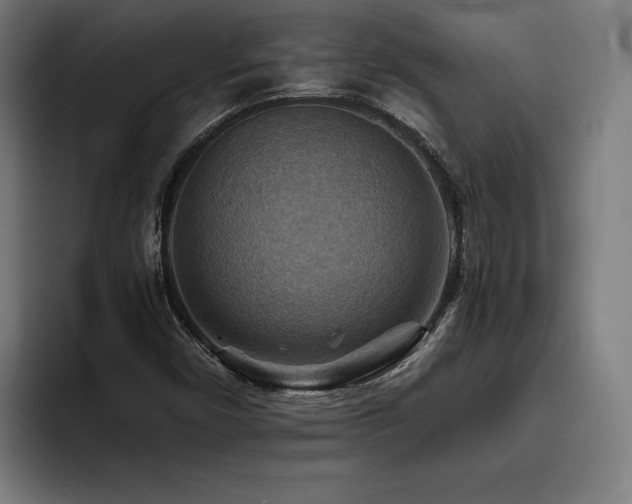 X0000093511450200710121523
