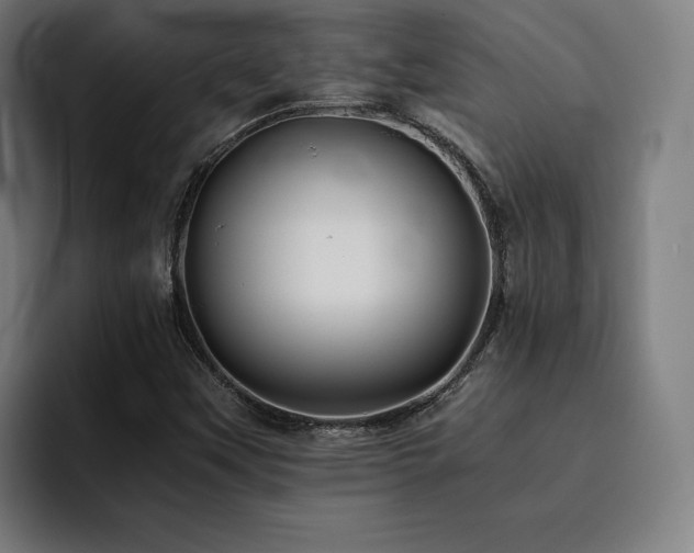 X0000093511451200710121523