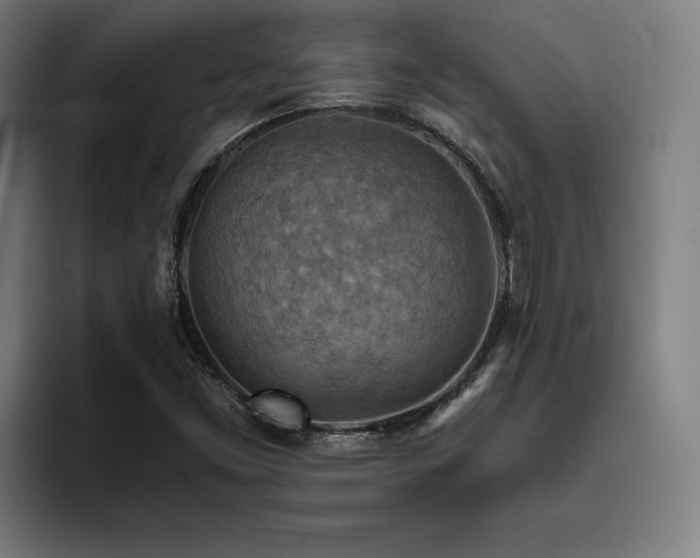 X0000093511453200710121523