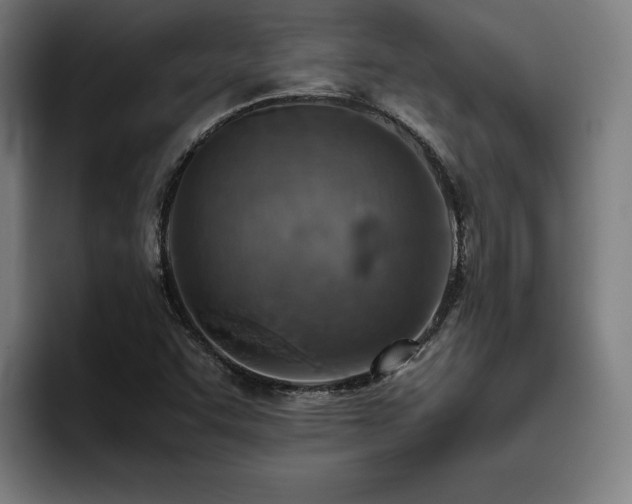 X0000093511455200710121523