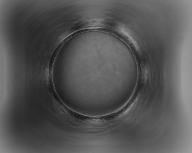 X0000093511457200710121523