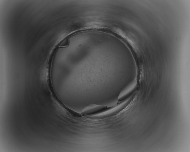 X0000093511459200710121523
