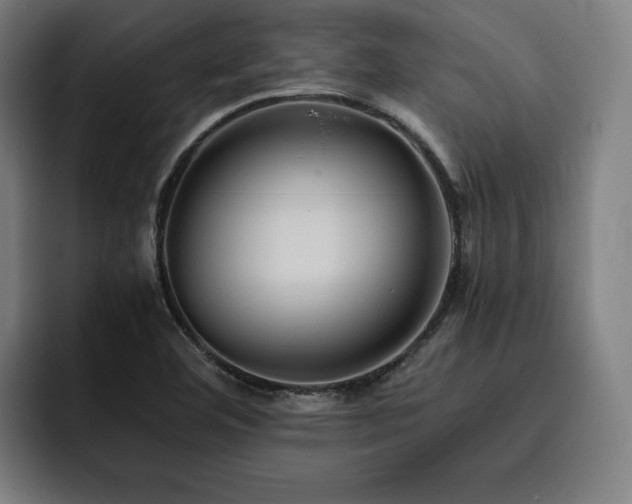 X0000093511460200710121523