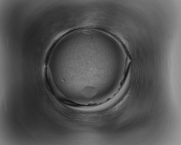 X0000093511461200710121523