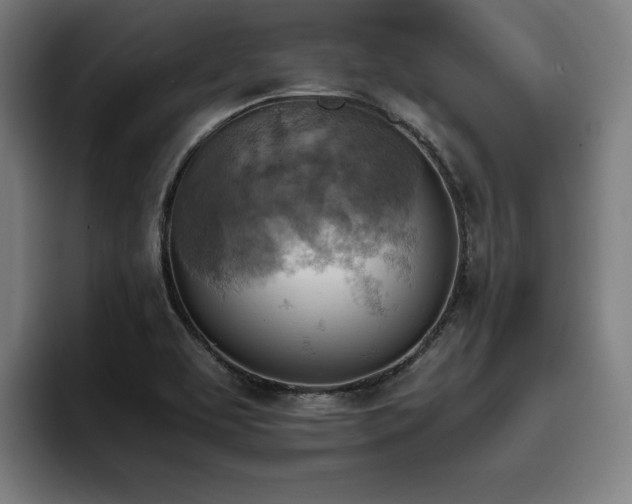 X0000093511463200710121523