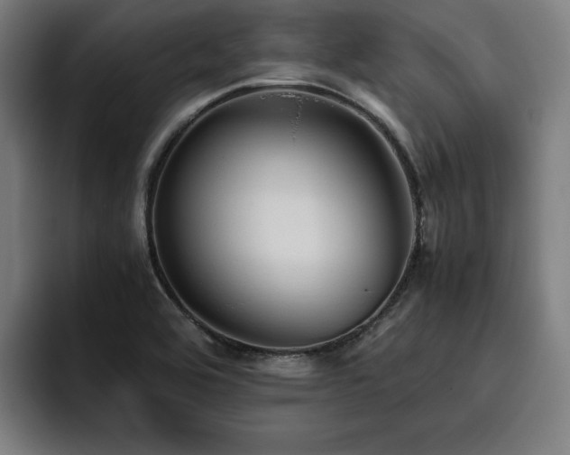 X0000093511464200710121523
