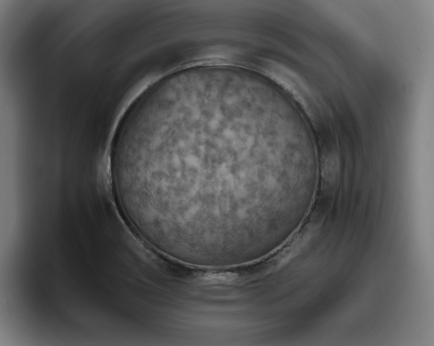 X0000093511466200710121523