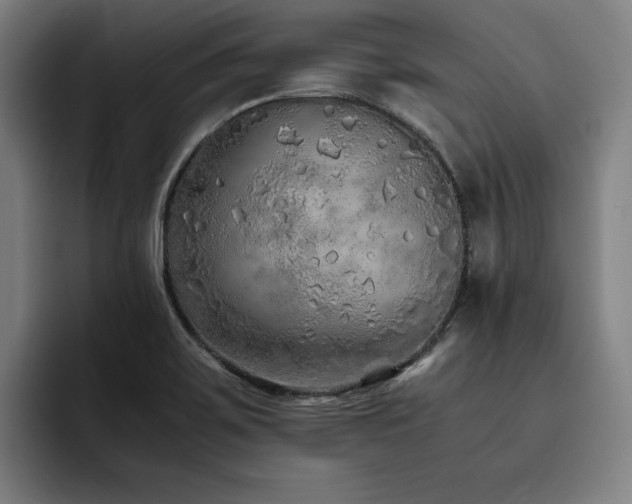 X0000093511467200710121523