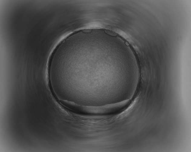 X0000093511469200710121523