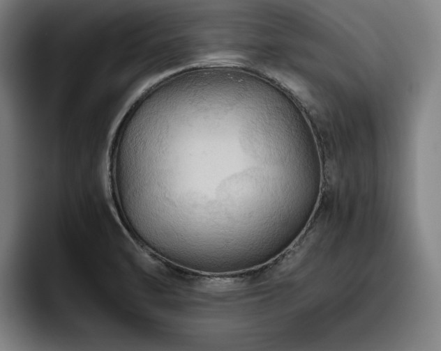 X0000093511470200710121523