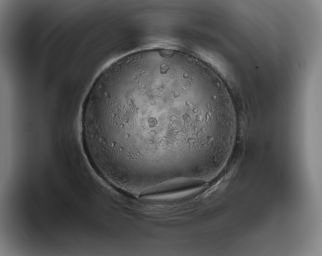 X0000093511471200710121523