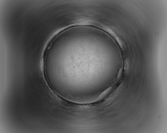 X0000093511472200710121523