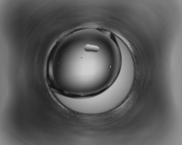 X0000093511477200710121523