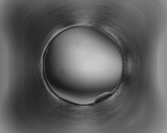 X0000093511479200710121522