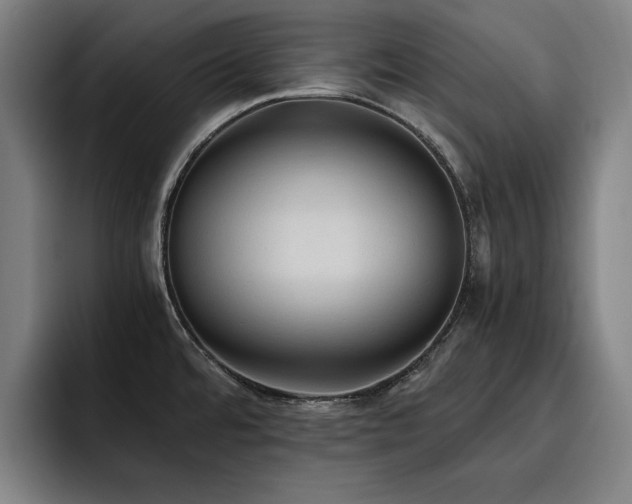 X0000093511480200710121522