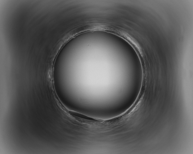 X0000093511481200710121522