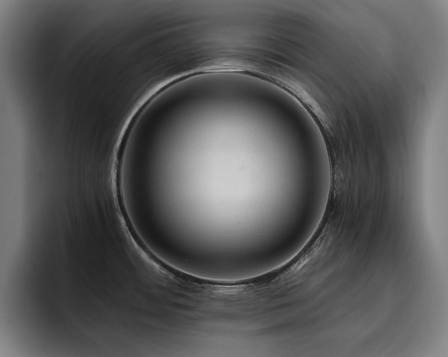 X0000093511484200710121522