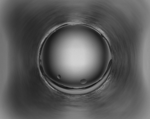 X0000093511485200710121522