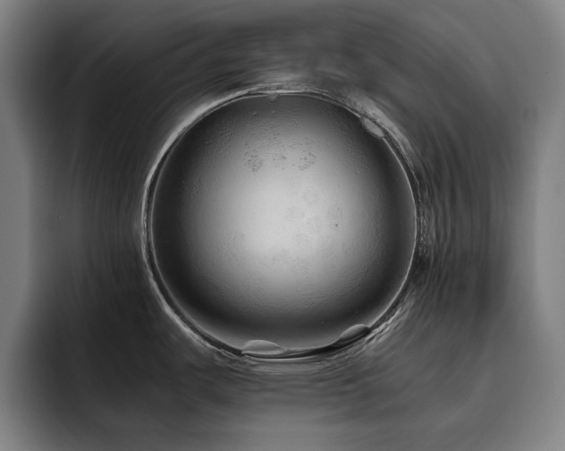 X0000093511487200710121522