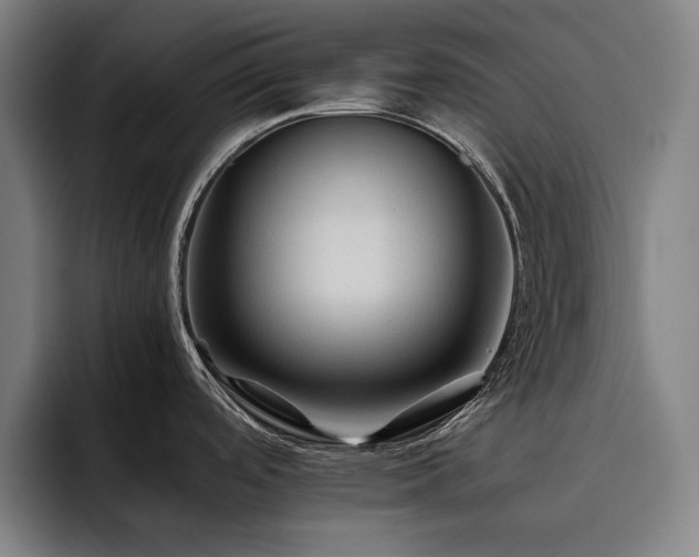 X0000093511488200710121522