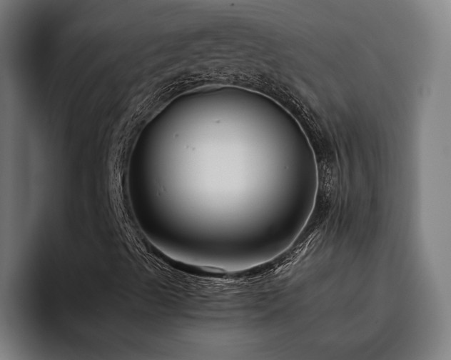 X0000093511489200710121522