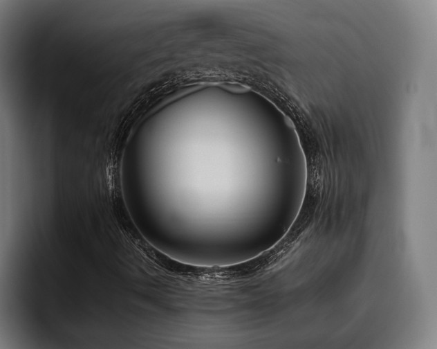 X0000093511490200710121522