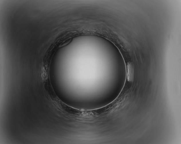 X0000093511491200710121522