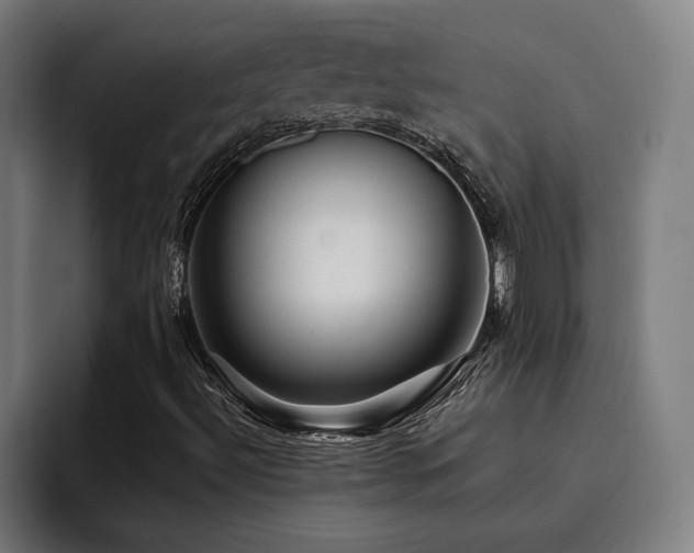 X0000093511492200710121522