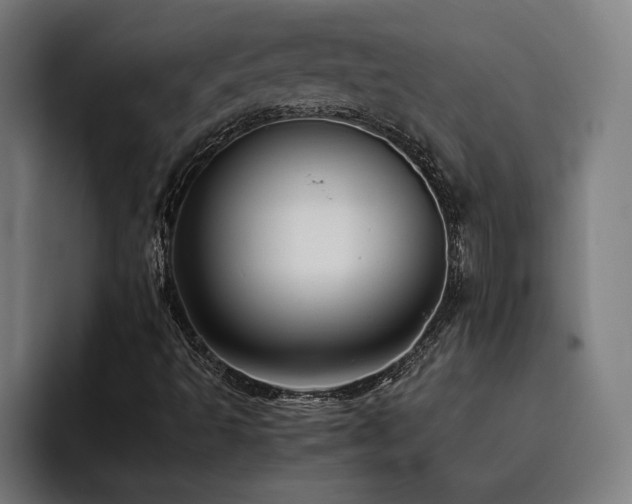 X0000093511493200710121522
