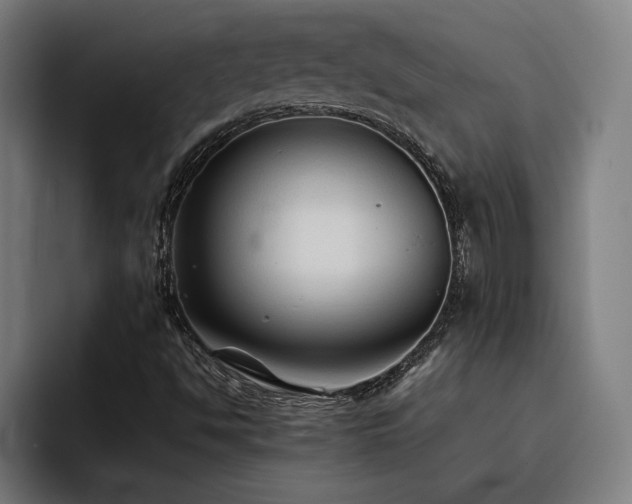 X0000093511494200710121522