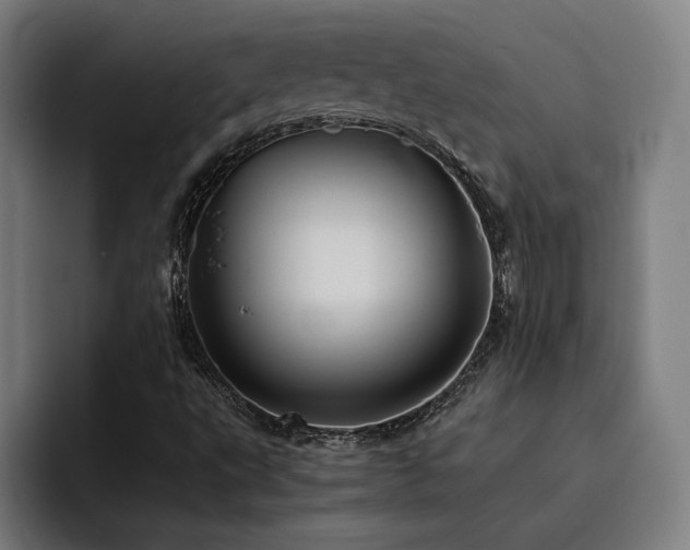 X0000093511495200710121522