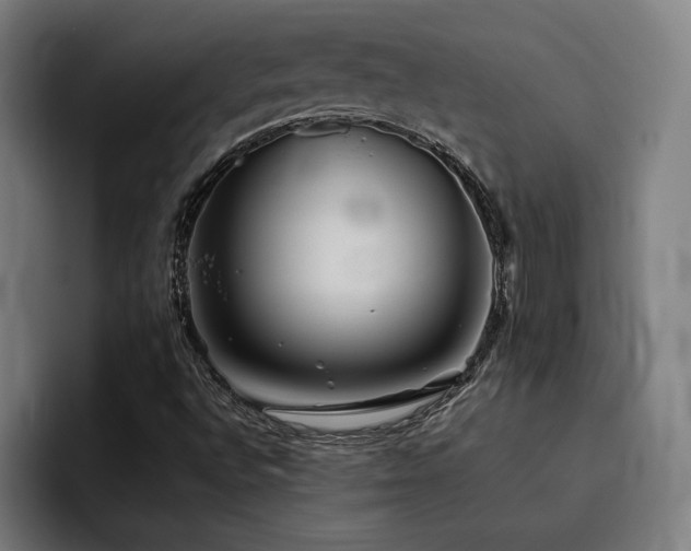 X0000093511496200710121522